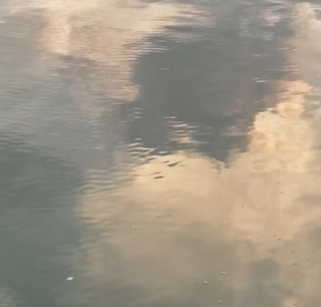 Clouds reflected in still water