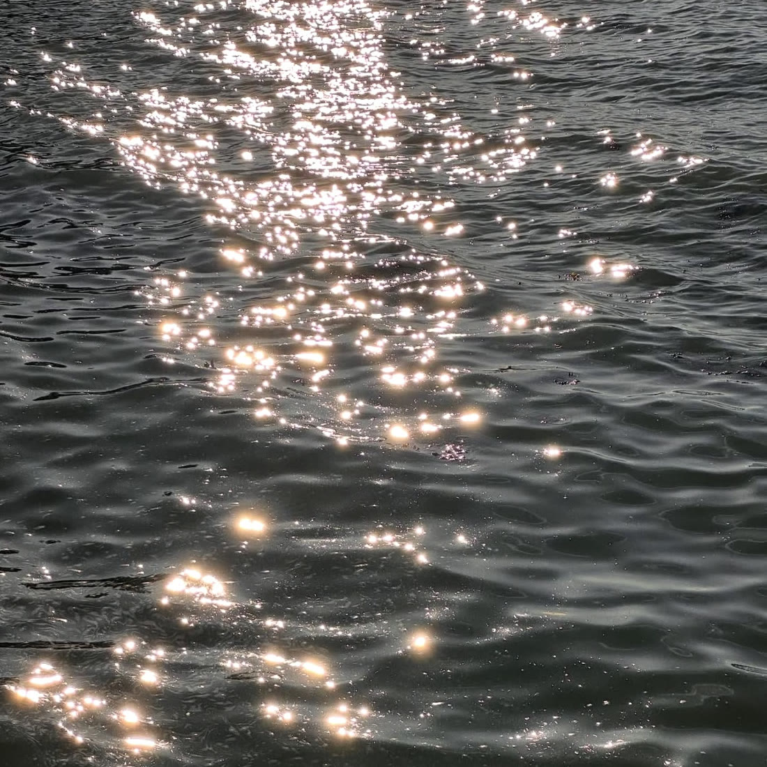 Sunlight glittering softly on water